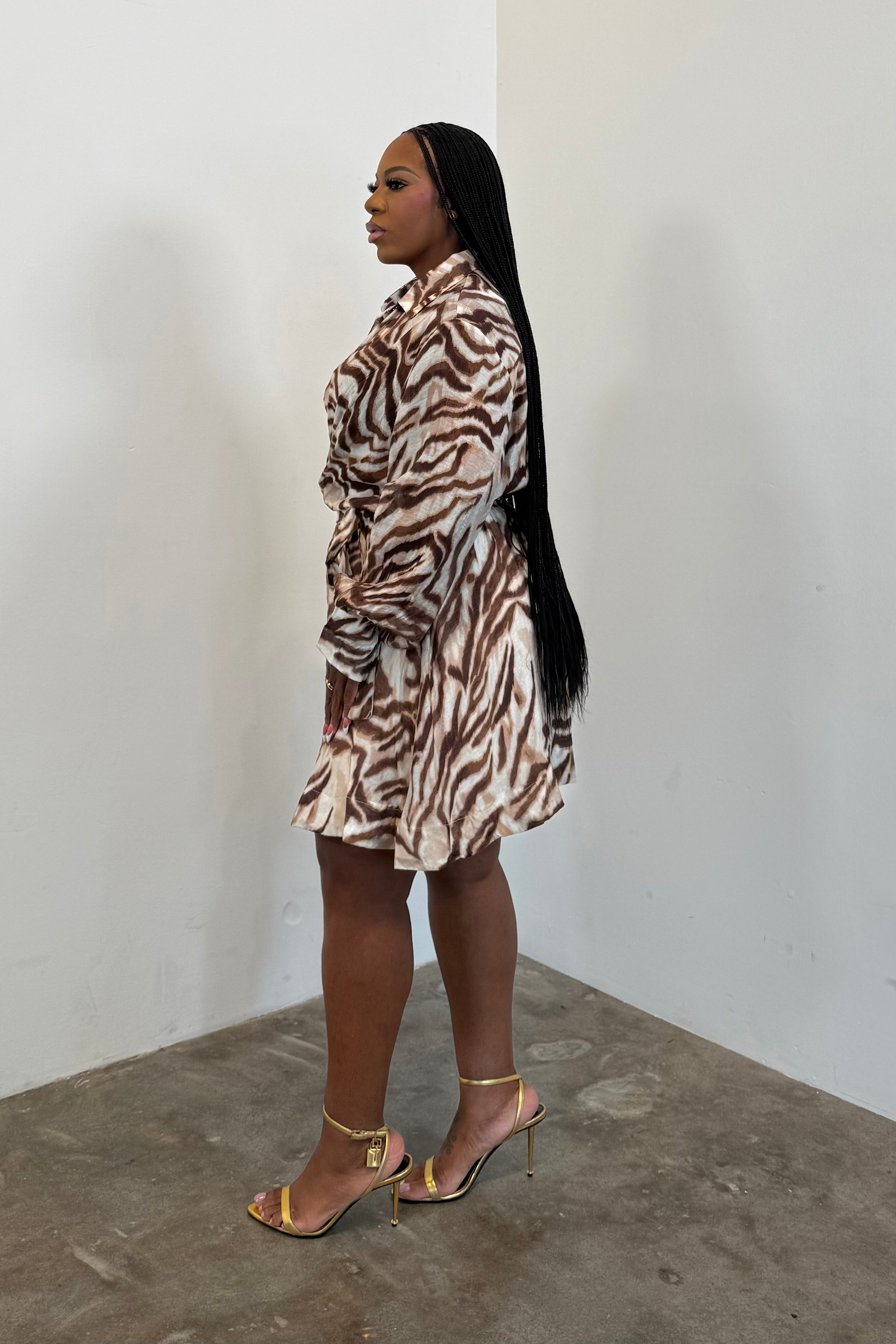Wild Intentions Dress (Brown Combo)