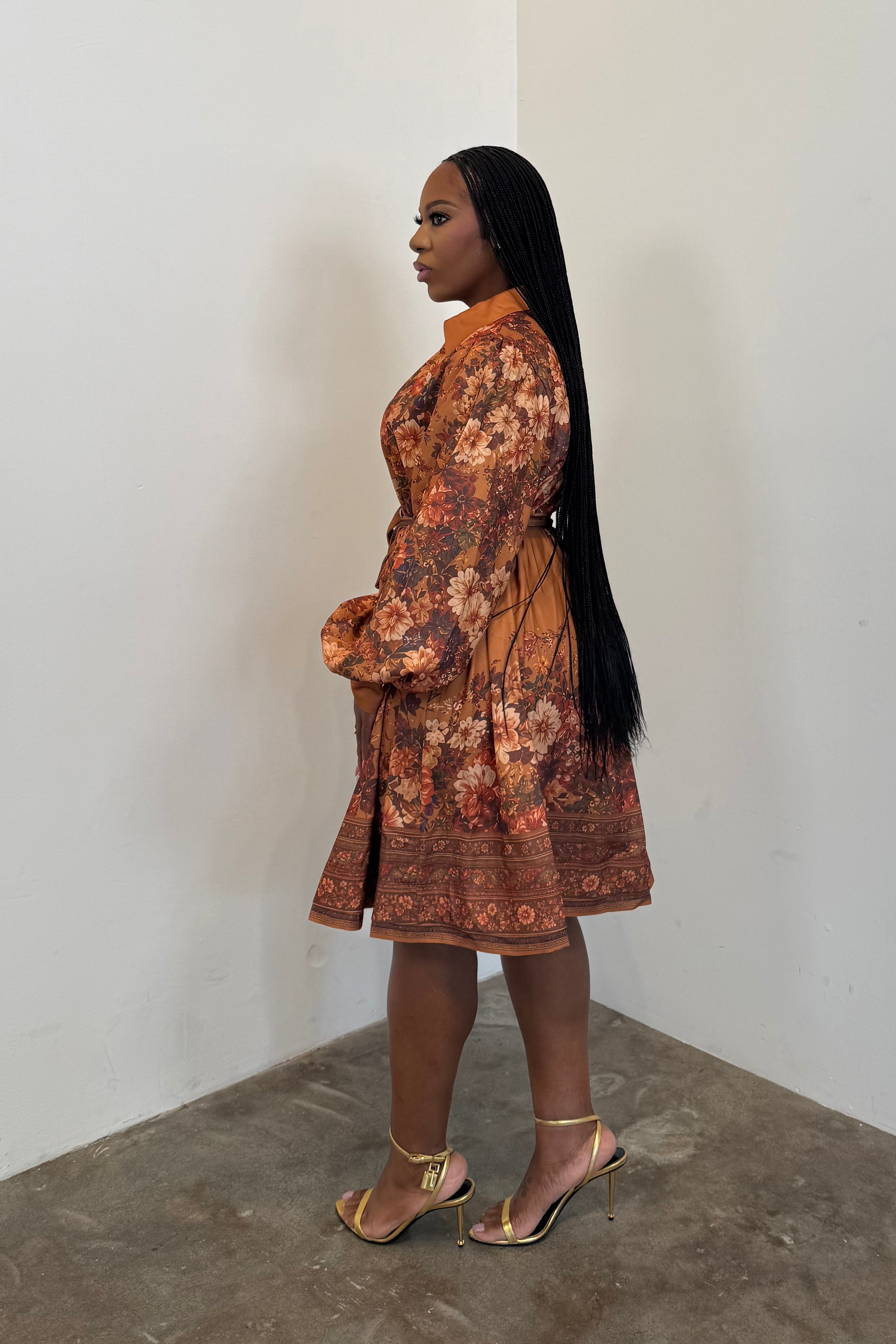 Amber Fields Dress